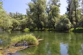 (c)pixabay.com/Reipen Fluss mit Baumvegetation am Ufer