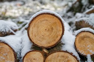 Holzstoß im Schnee