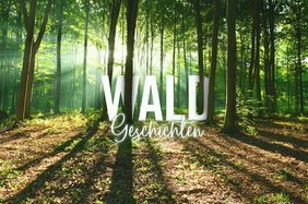 (c)waldgeschichten.com Der Text Waldgeschichten vor einem Laubwald