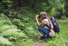 Mädchen fotografiert Pflanze im Wald.