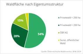 Tortendiagramm zur Eigentümerstruktur des österreichischen Waldes: 54 % der Fläche ist auf Kleinwälder unter 200 ha aufgeteilt, 15 % gehören den Österreichischen Bundesforsten, 28 % gehören zu Betrieben über 200 ha und der Rest zählt zu sonstigem öffentlichen Wald.