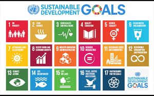 Die Logos der Sustainable Development Goals.