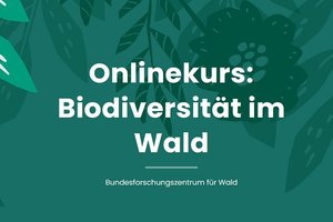 (c)BFW Onlinekurs: Biodiversität im Wald