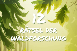 (c)Land&Forst Betriebe Österreich Das Cover der 12 Rätsel der Waldforschung. Weiße Schrift vor grünem Mischwald.