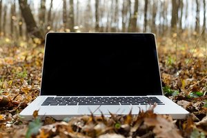 Laptop am Waldboden