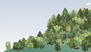 interaktive Waldlandschaft der Website 
