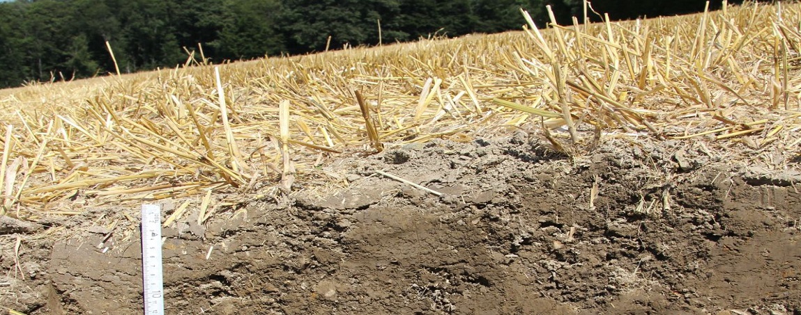 (c)BFW_Ch-Amann Acker mit sichtbaren Bodeneingrabungen