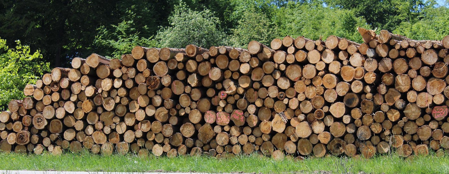 (C)pixabay.com/BiggiBe Holzpolter