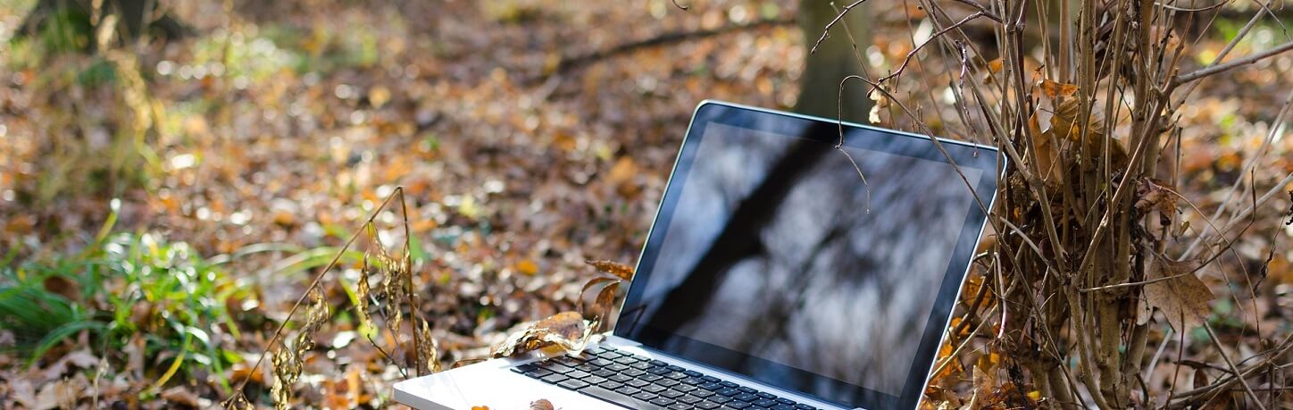 Symbolbild Laptop im Wald